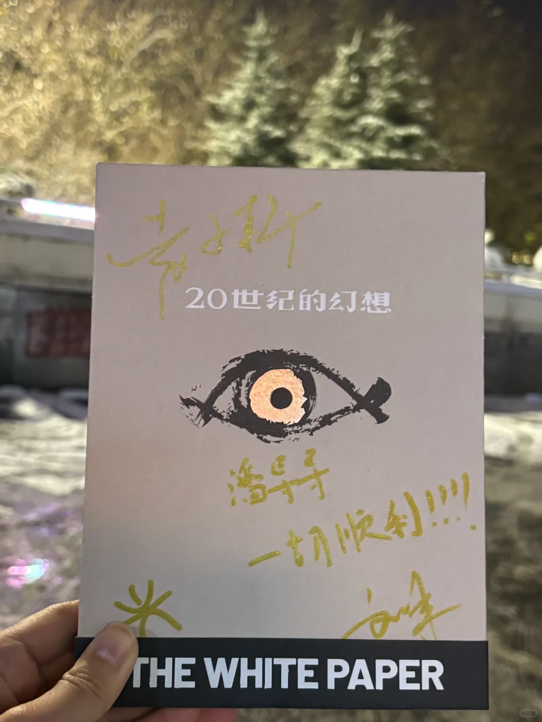 初雪见到白皮书浪漫到极致！