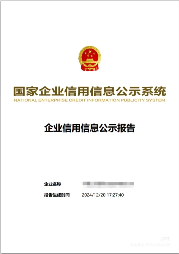实习用|企业信用信息公示报告|可代查