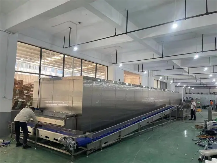 大型单冻机行业报告（2025）