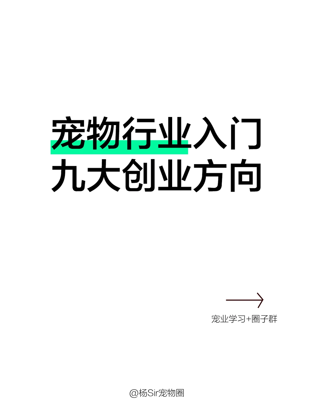 盘点宠物行业九大创业方向!宠业知识库