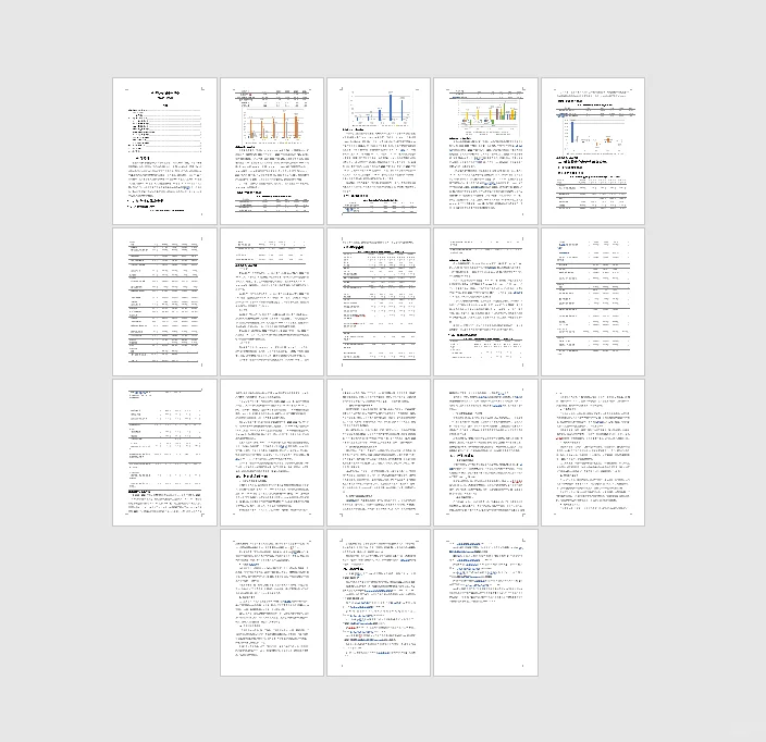 2020-2024理想汽车财务分析报告