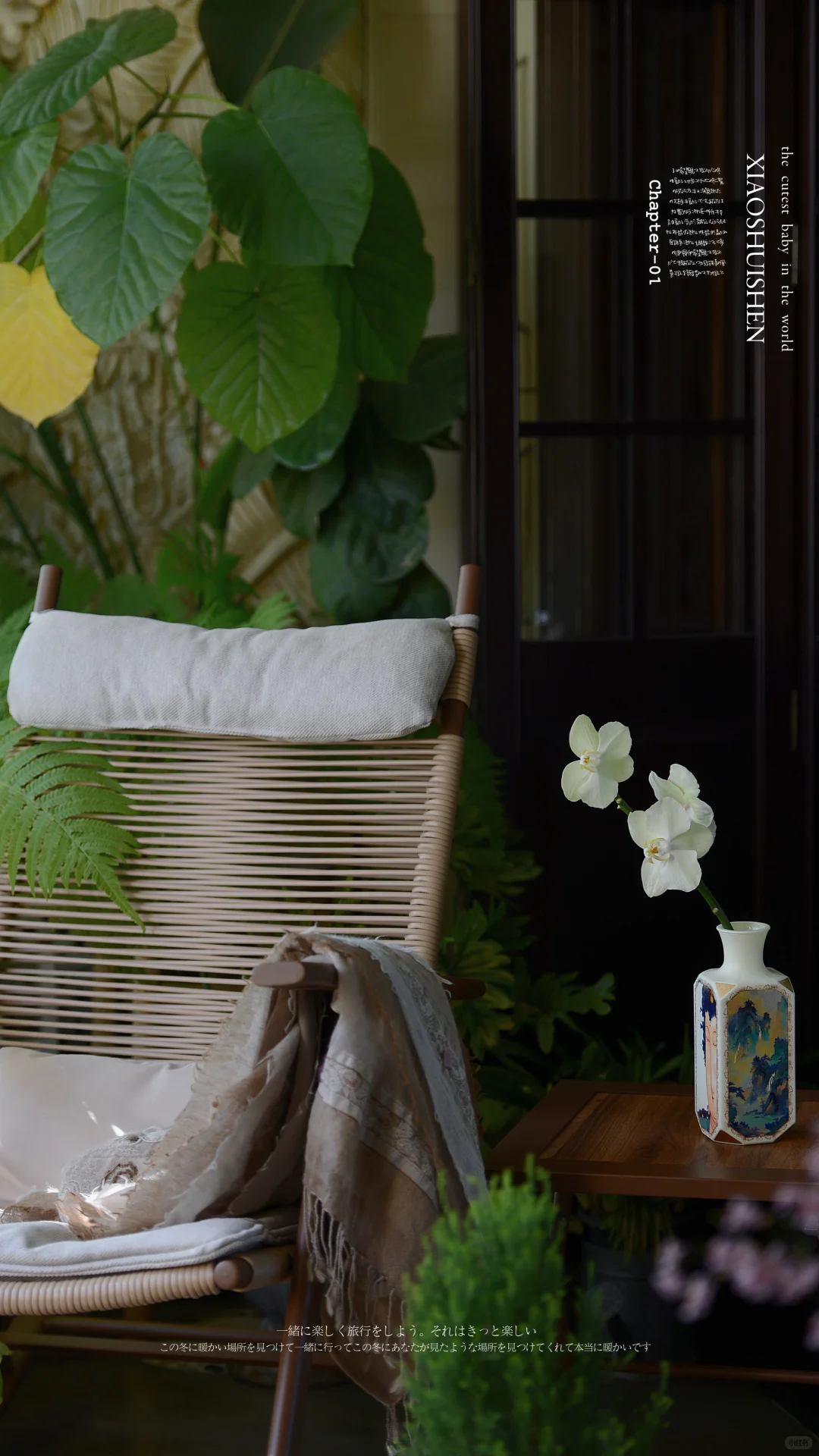 阳台造梦记~城市里的阳台绿意小确幸???