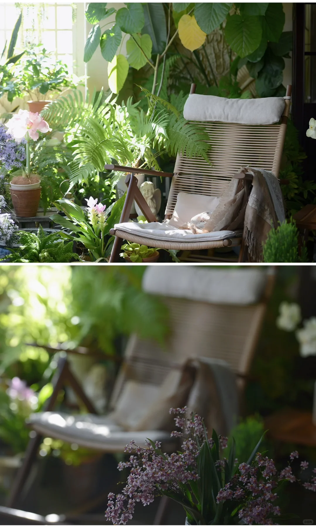 阳台造梦记~城市里的阳台绿意小确幸???