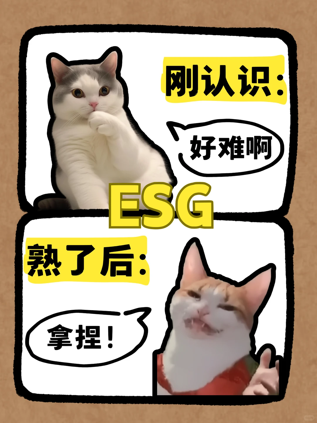 一文读懂? ESG 报告到底是什么