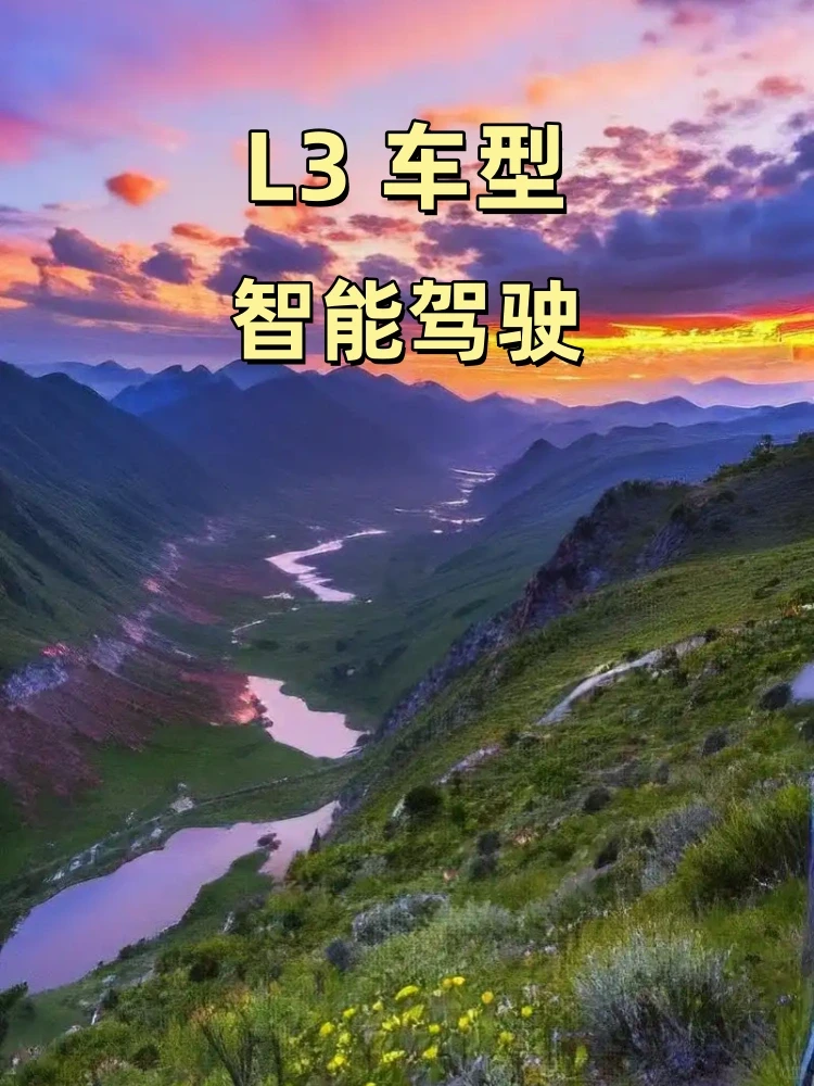 智能驾驶