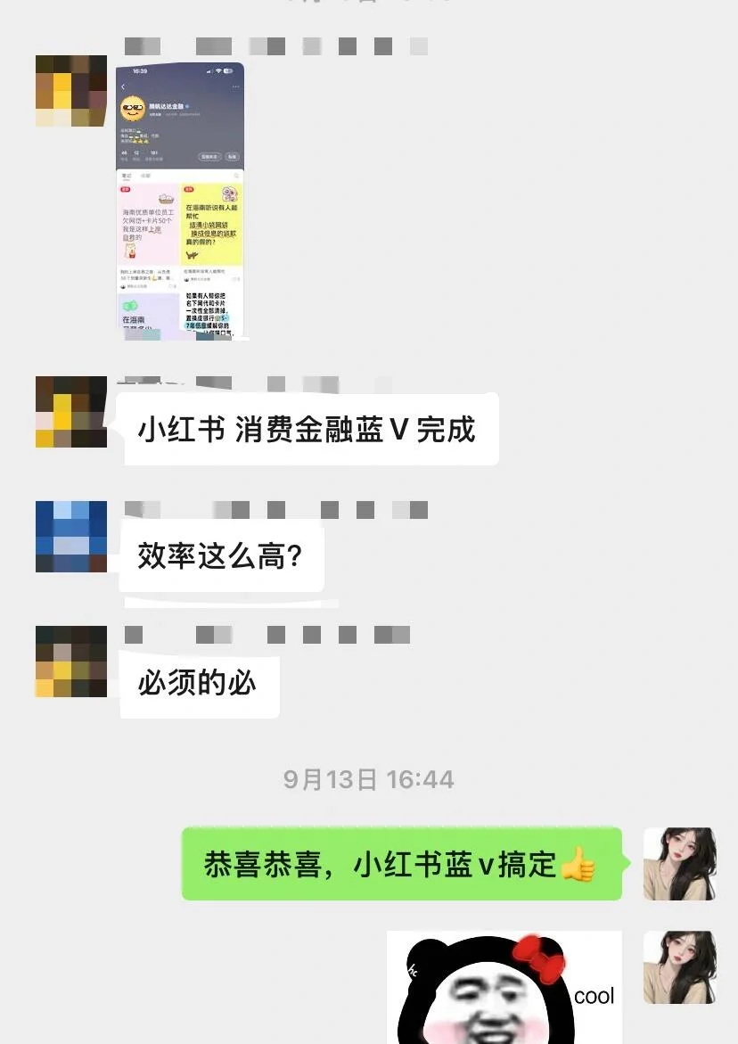 小红书金融蓝v认证???