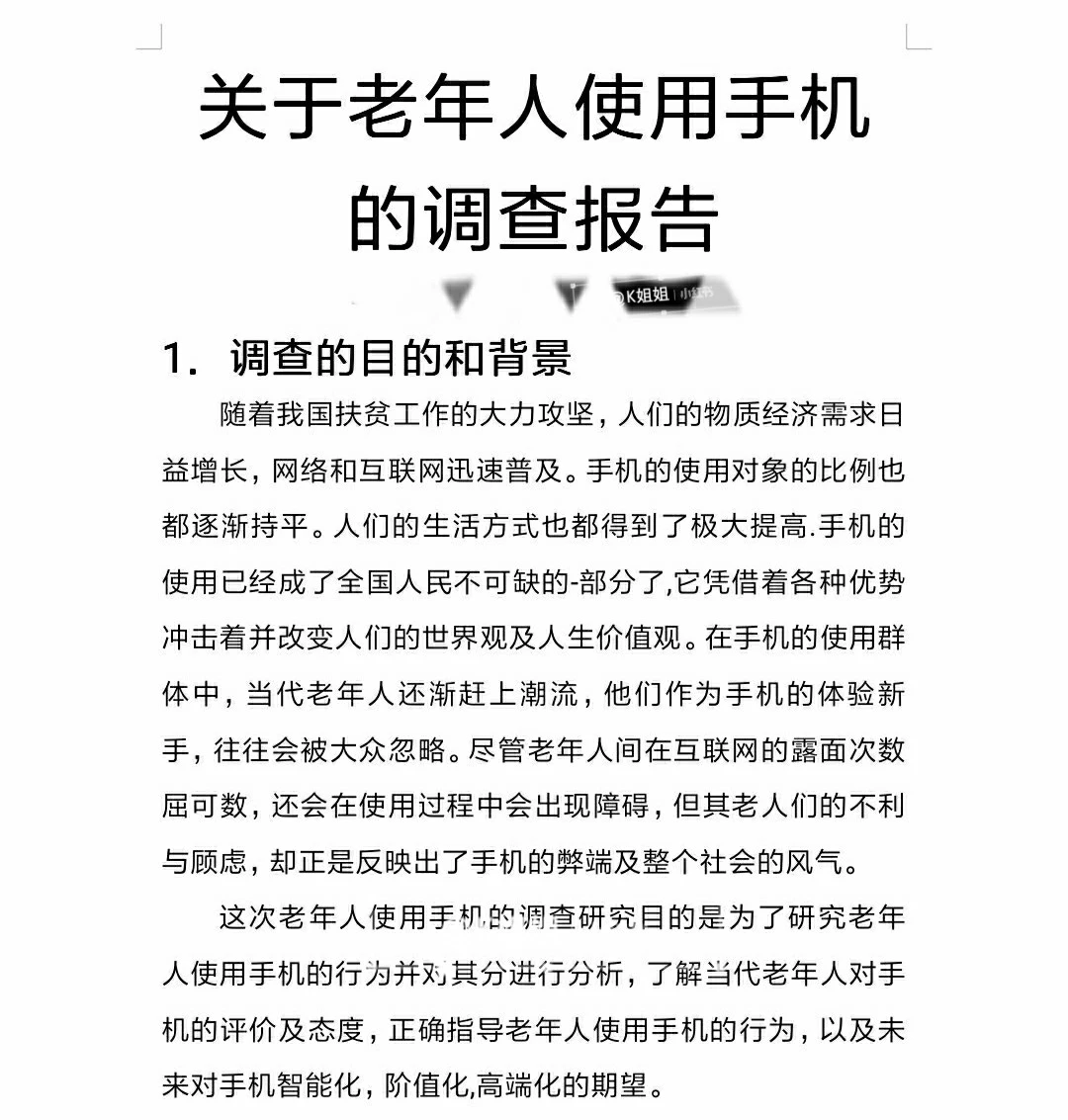 调查报告.电子文档.