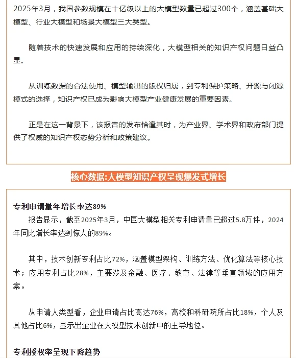 中国人工智能大模型知识产权发展报告 2025