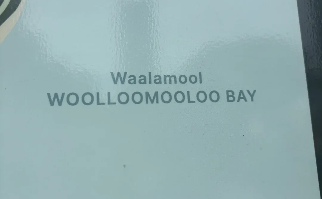 潜力和泡沫相伴相生