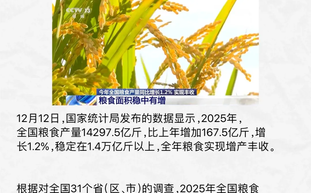 超1.4万亿斤!2025年全国粮食丰收