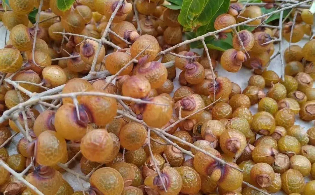 这个水果叫什么有人知道么