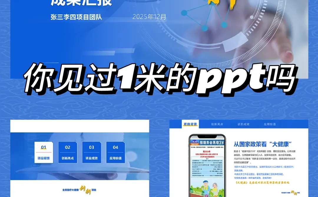 全民医疗大健康项目报告