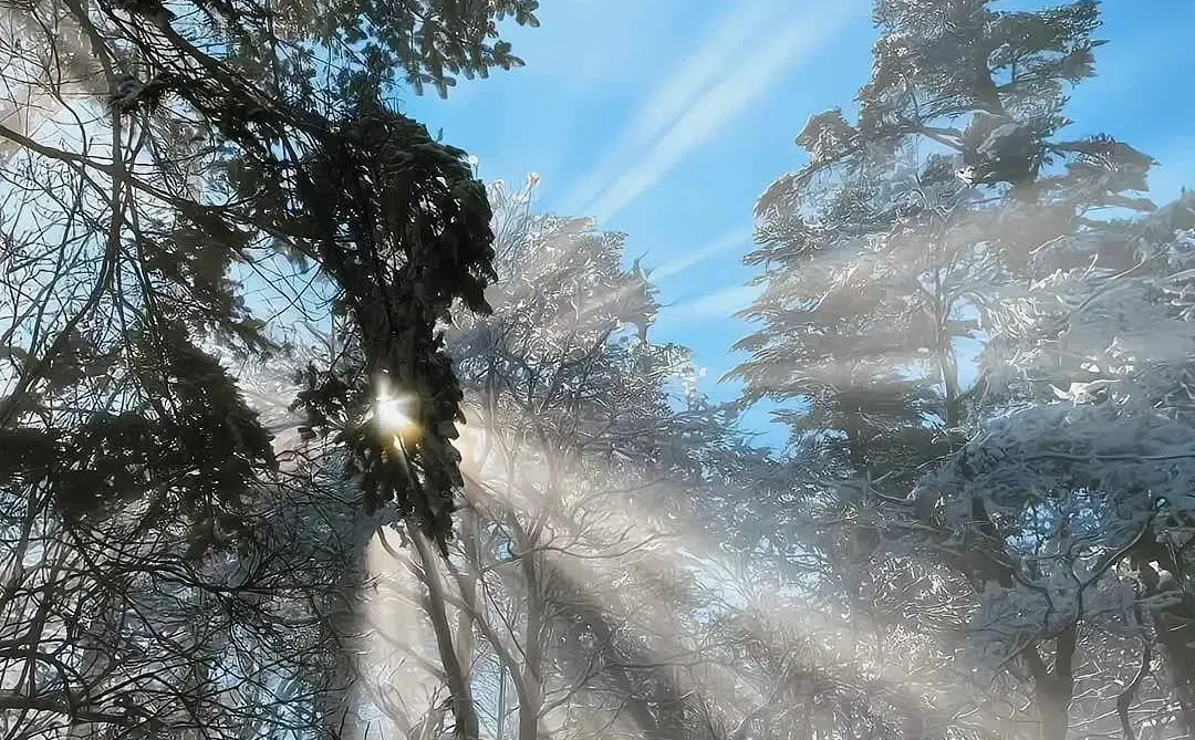 谁是“金融消费者”?