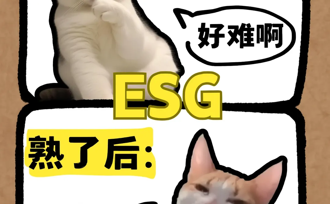 一文读懂? ESG 报告到底是什么