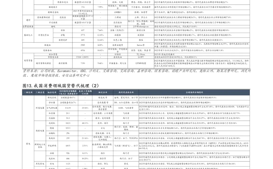 第四消费时代主视角，消费的“平替”