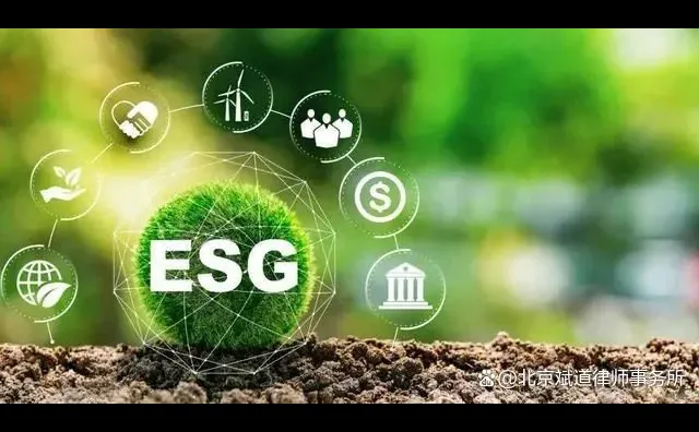 ?企业 ESG 报告编写秘籍大公开?