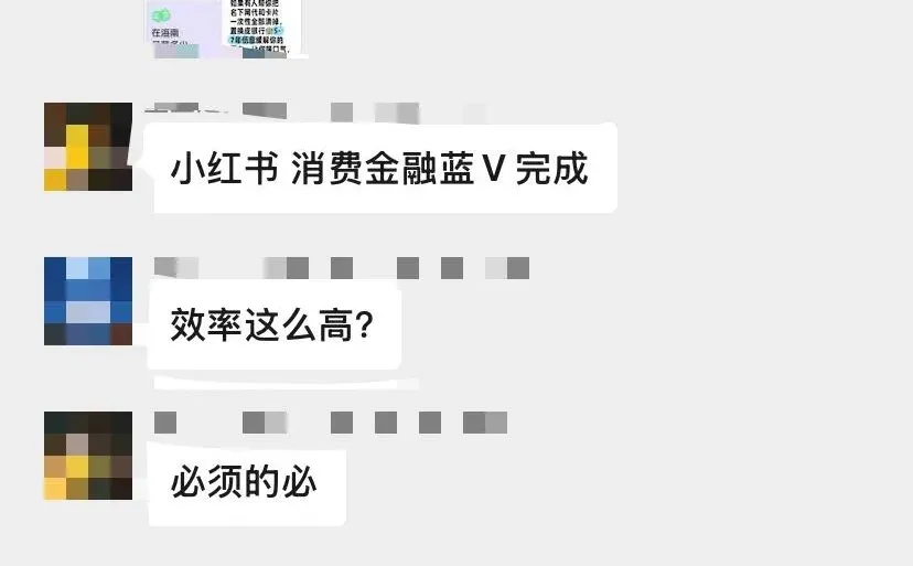 小红书金融蓝v认证???
