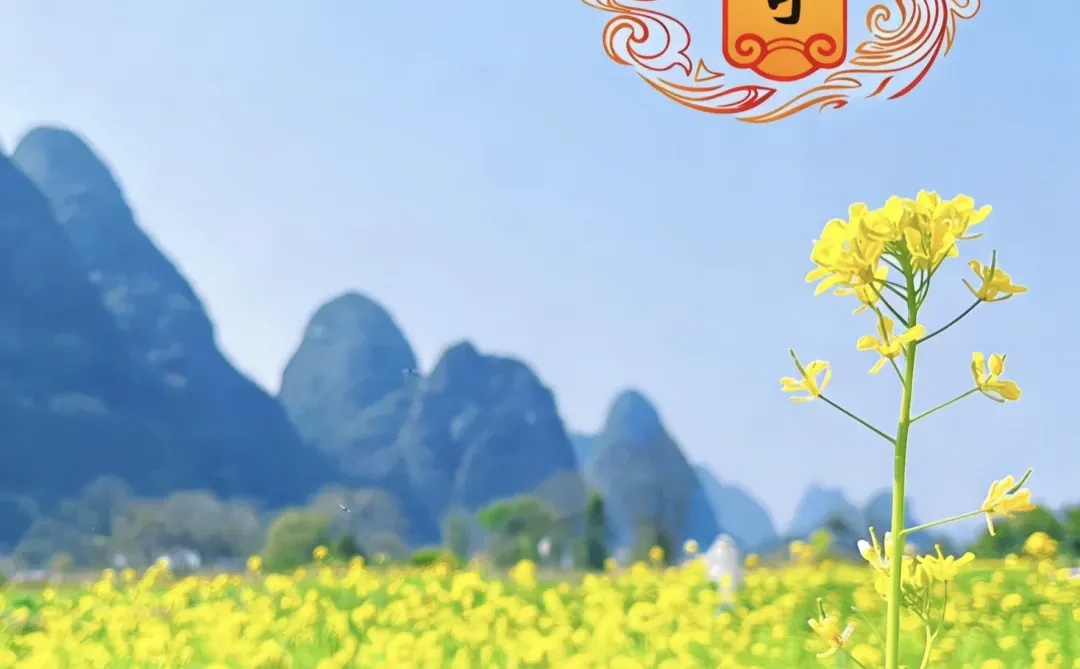 九力奇从健康数据梳理看日常健康维护