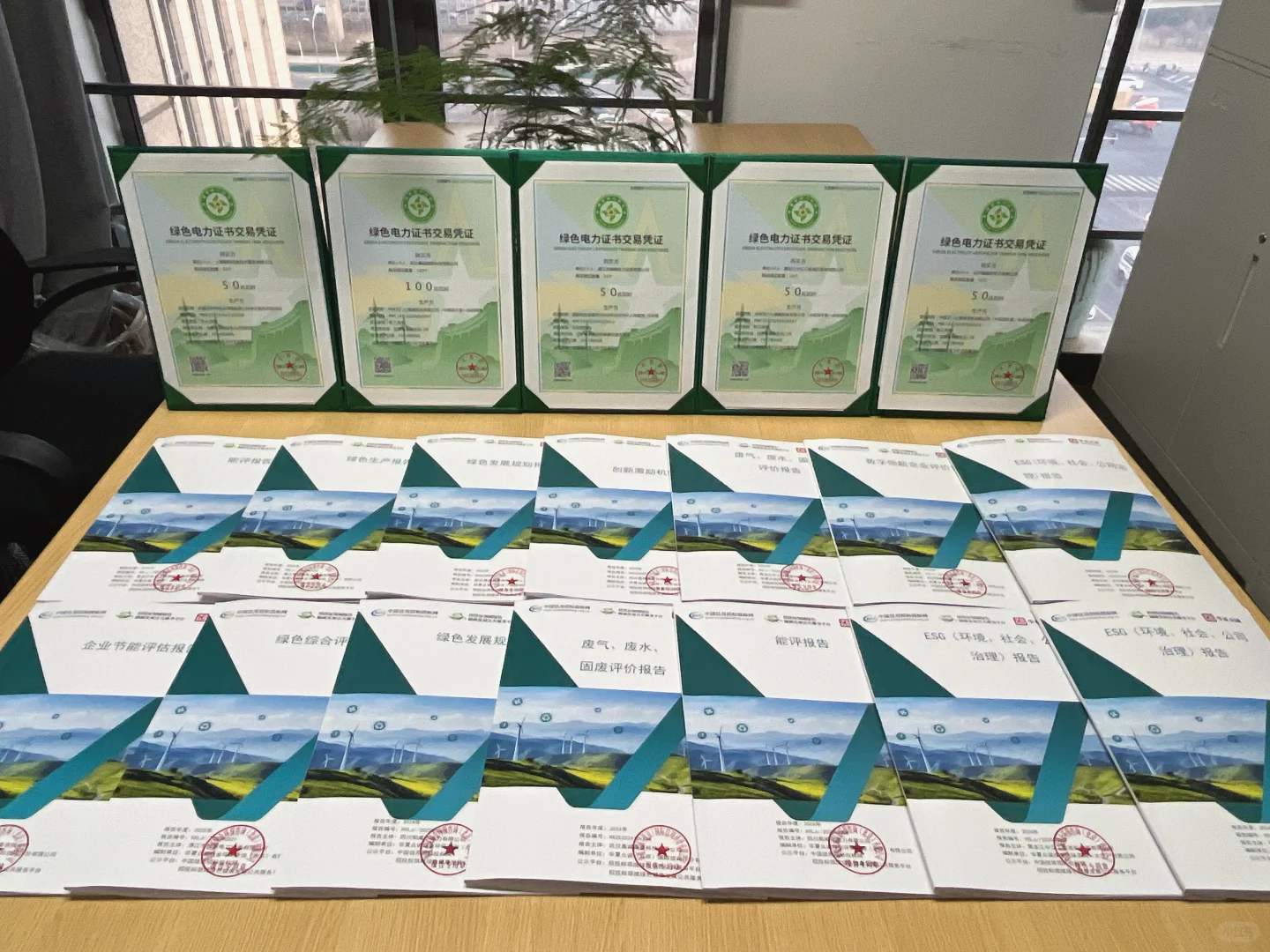 ESG(环境、社会、公司治理)报告，申报指南