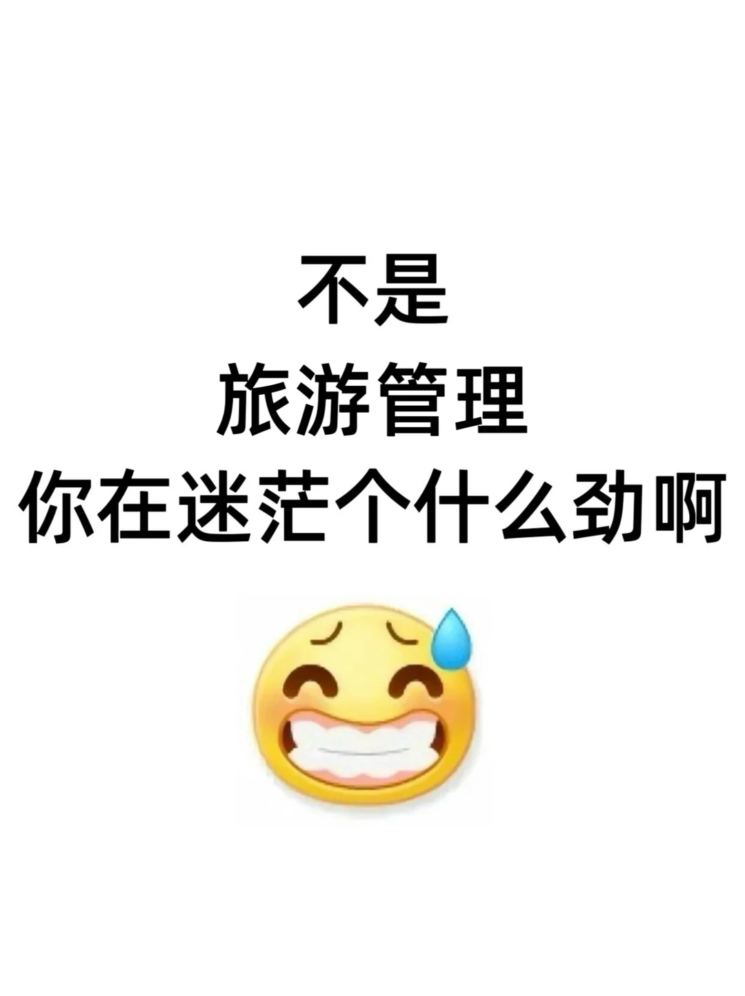 不是,旅游管理你真的在迷茫个什么劲啊…