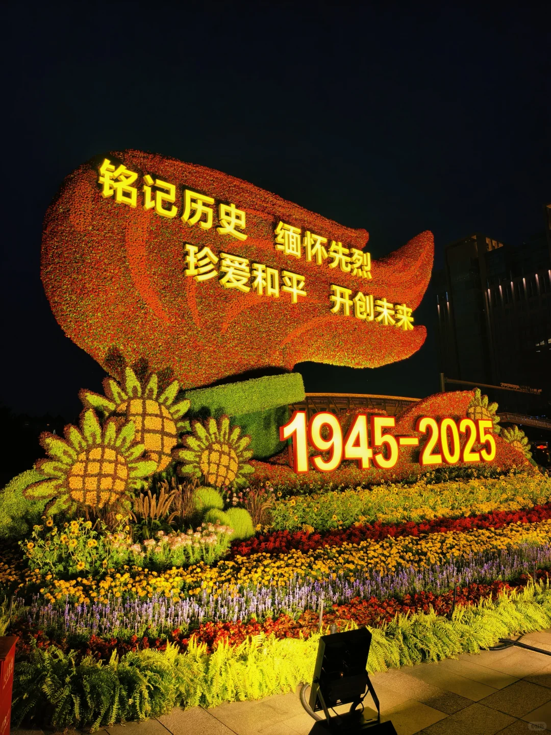 铭记历史 珍爱和平