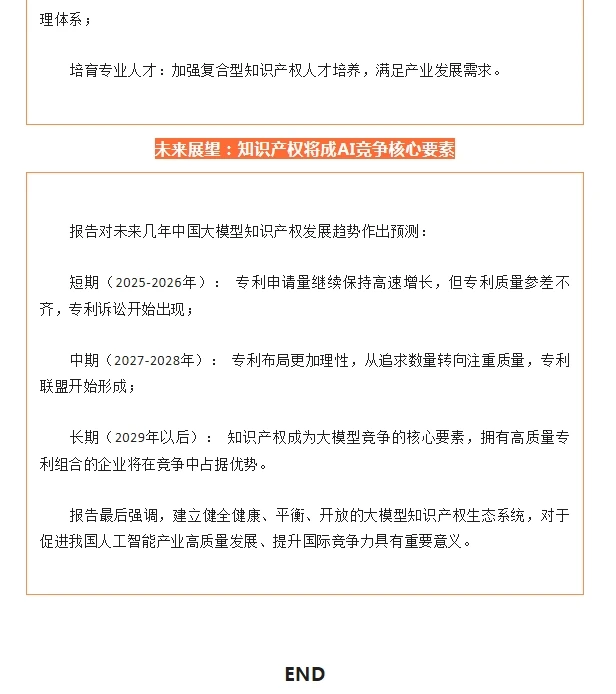 中国人工智能大模型知识产权发展报告 2025
