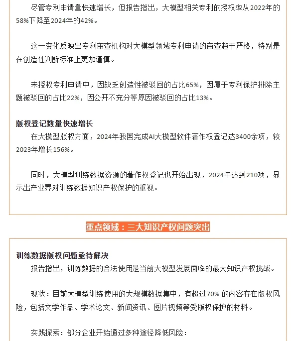 中国人工智能大模型知识产权发展报告 2025