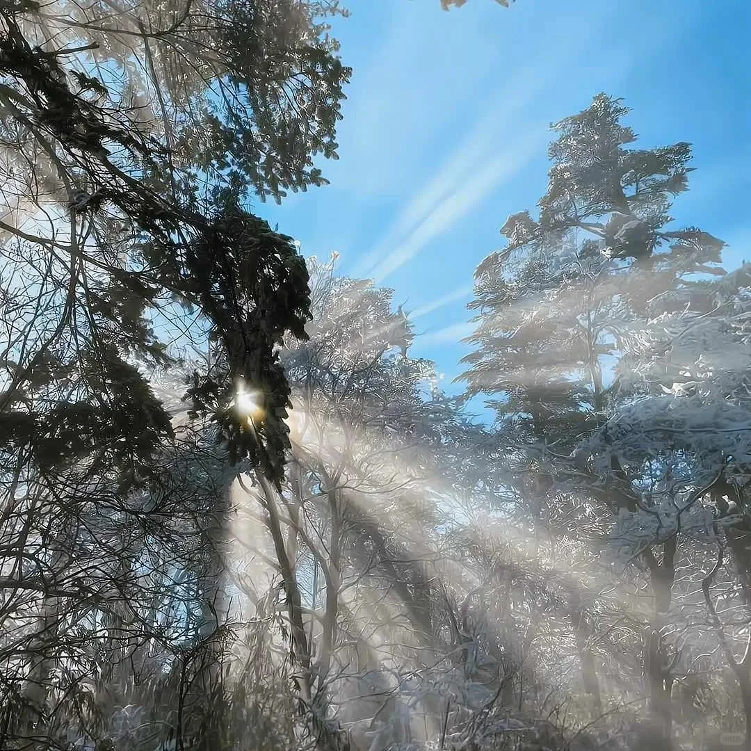 谁是“金融消费者”?