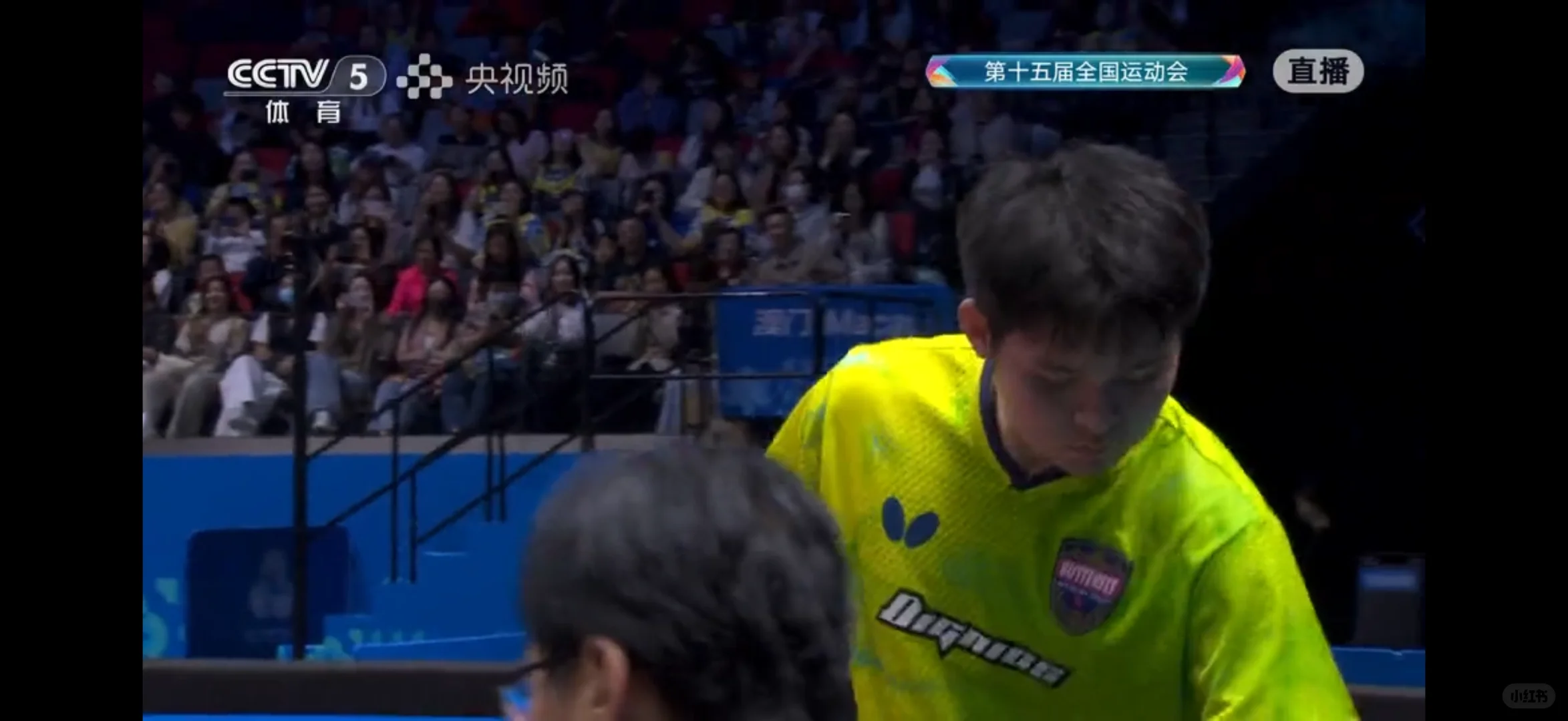 有没有人来救救这个石头?