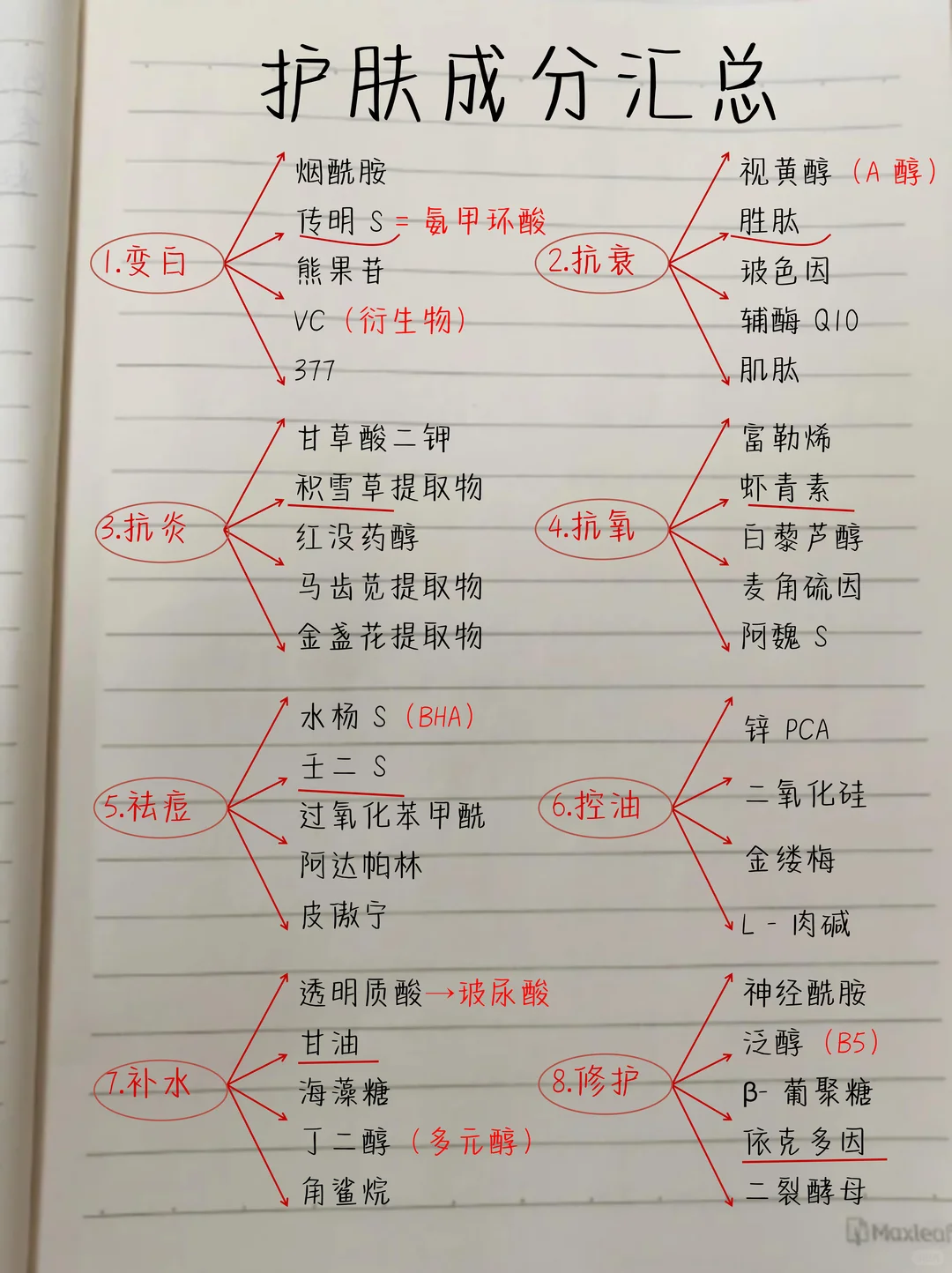 美容师必背！一篇搞定护肤成分！