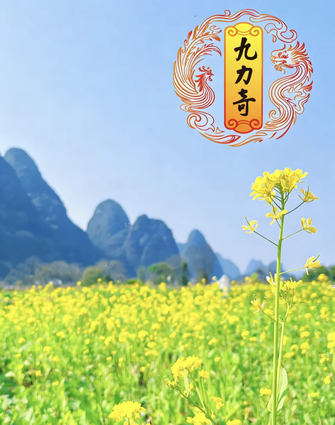 九力奇从健康数据梳理看日常健康维护