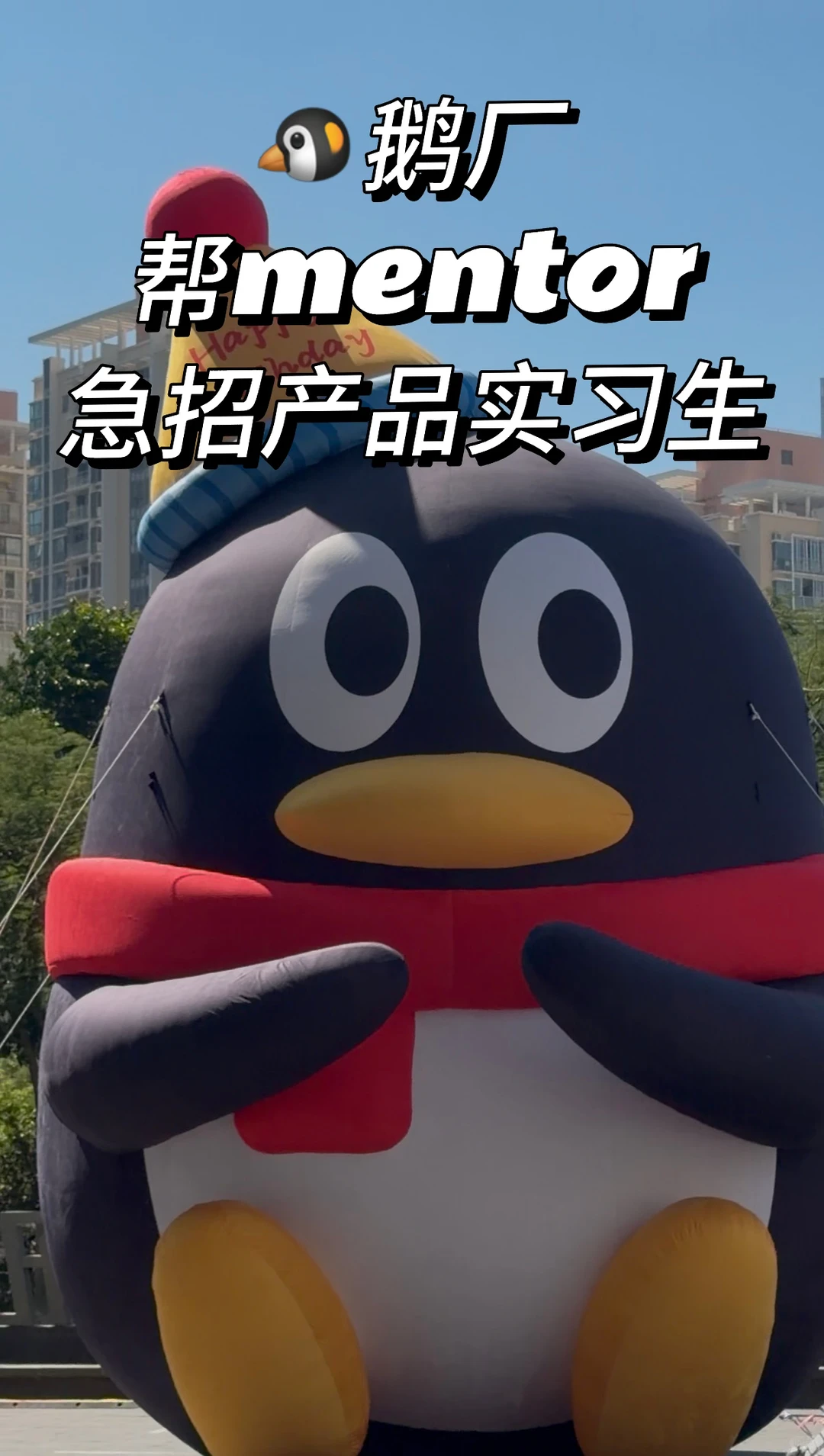 鹅厂组内急招实习生~