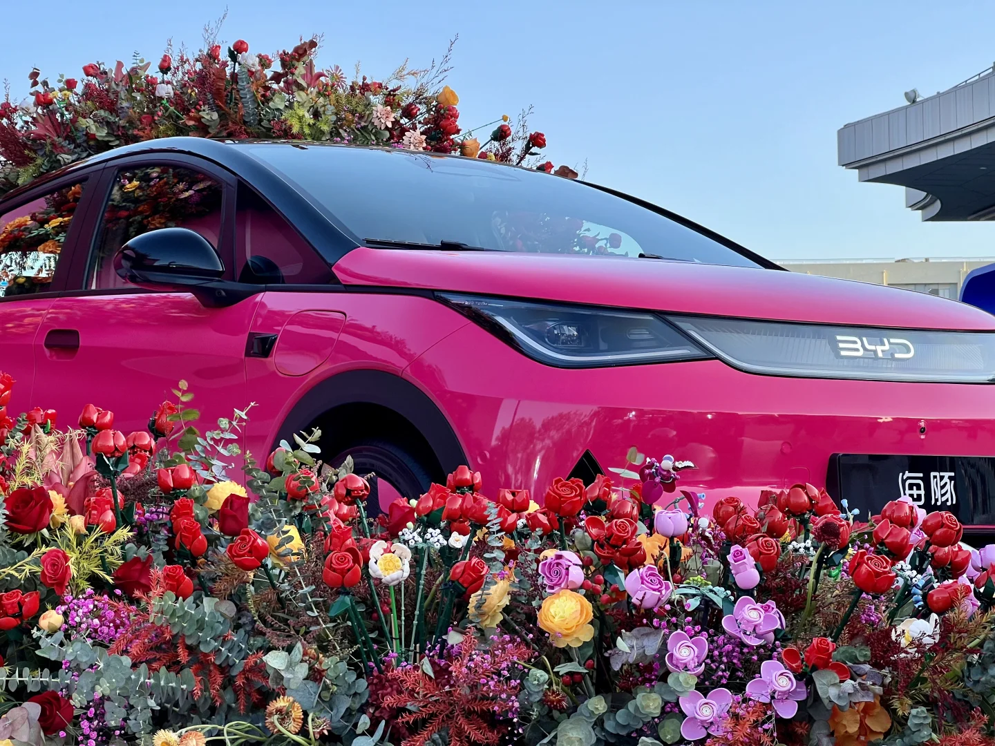 比亚迪海洋网四周年用户盛典