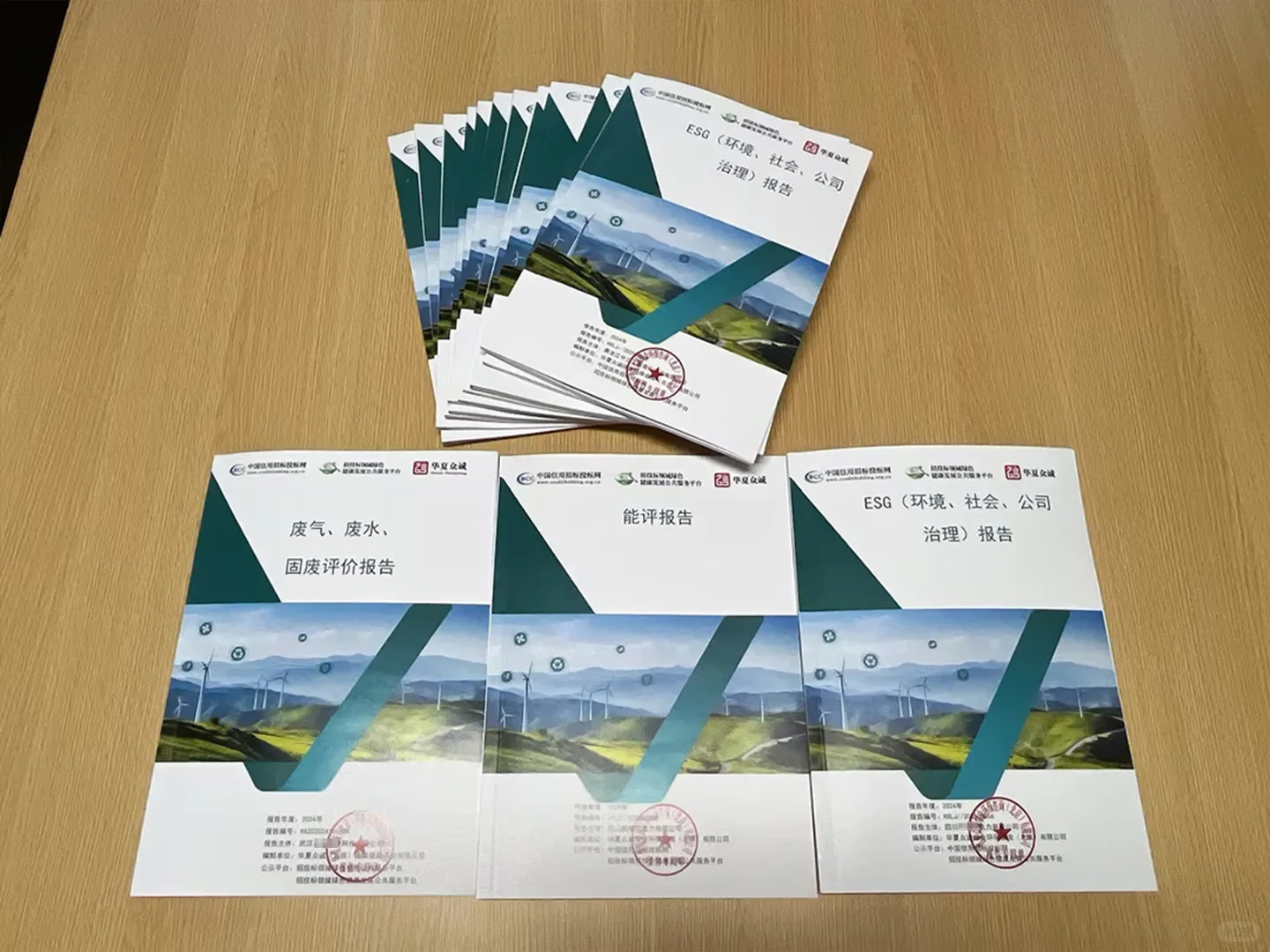 ESG(环境、社会、公司治理)报告，申报指南