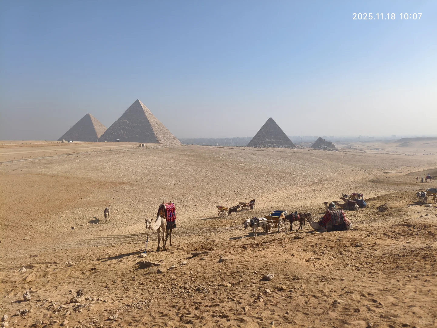 埃及不至于那么差,快去吧??