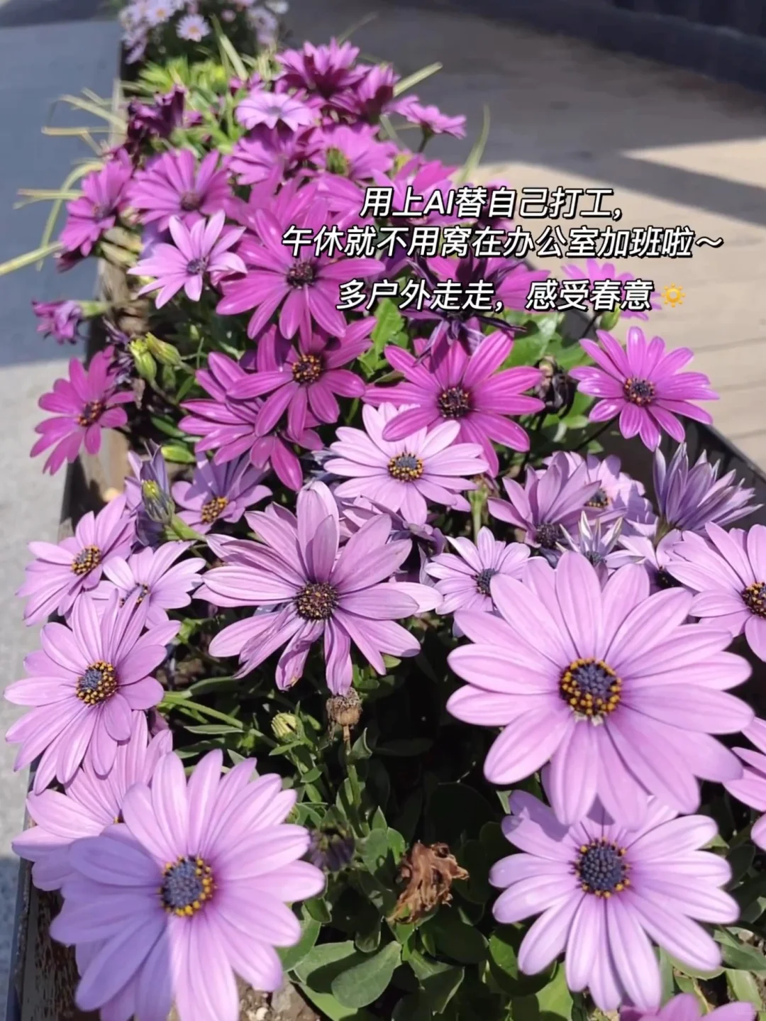 真心建议普通人都用上AI