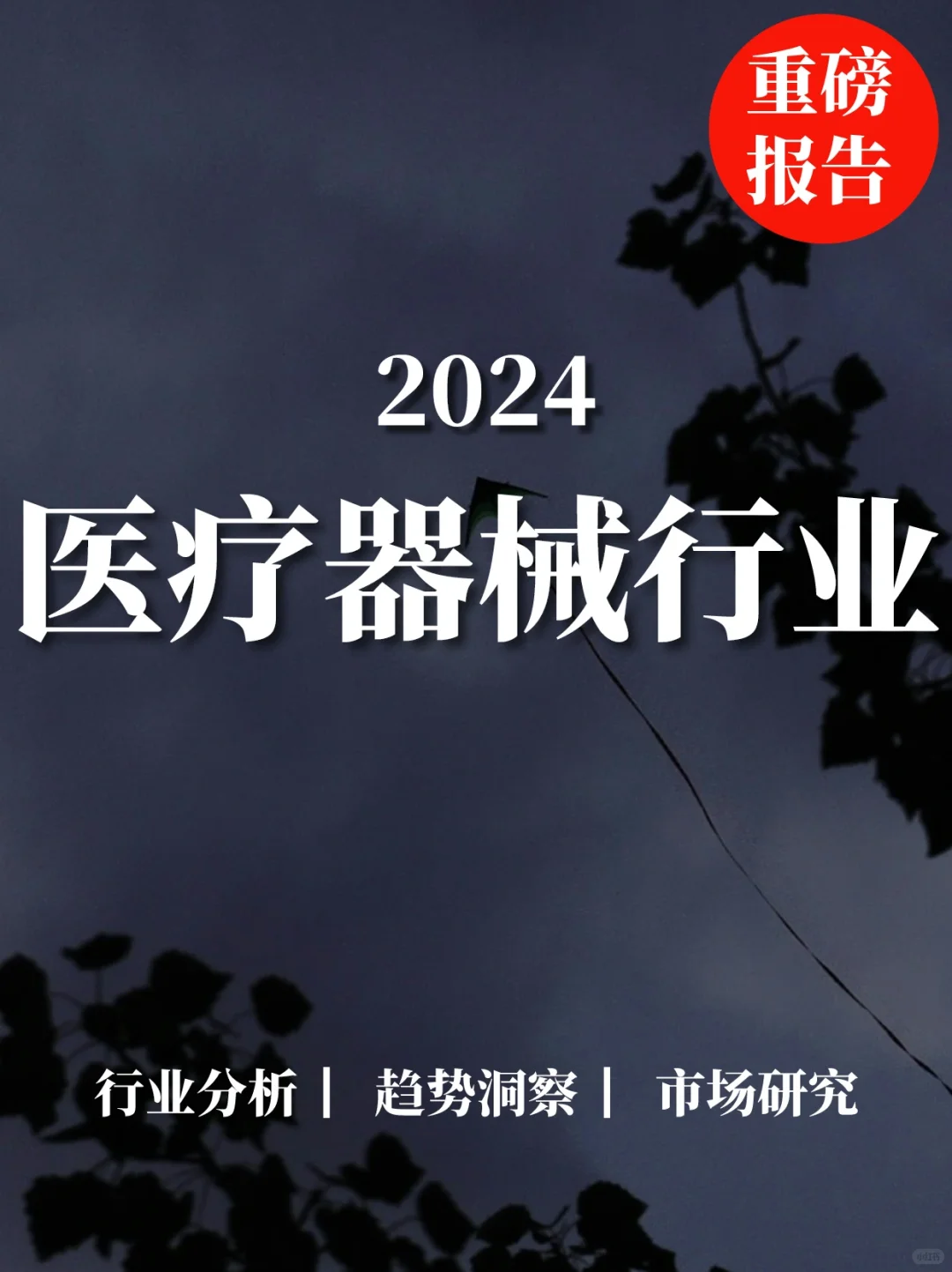 重磅报告|2024医疗器械行业分析