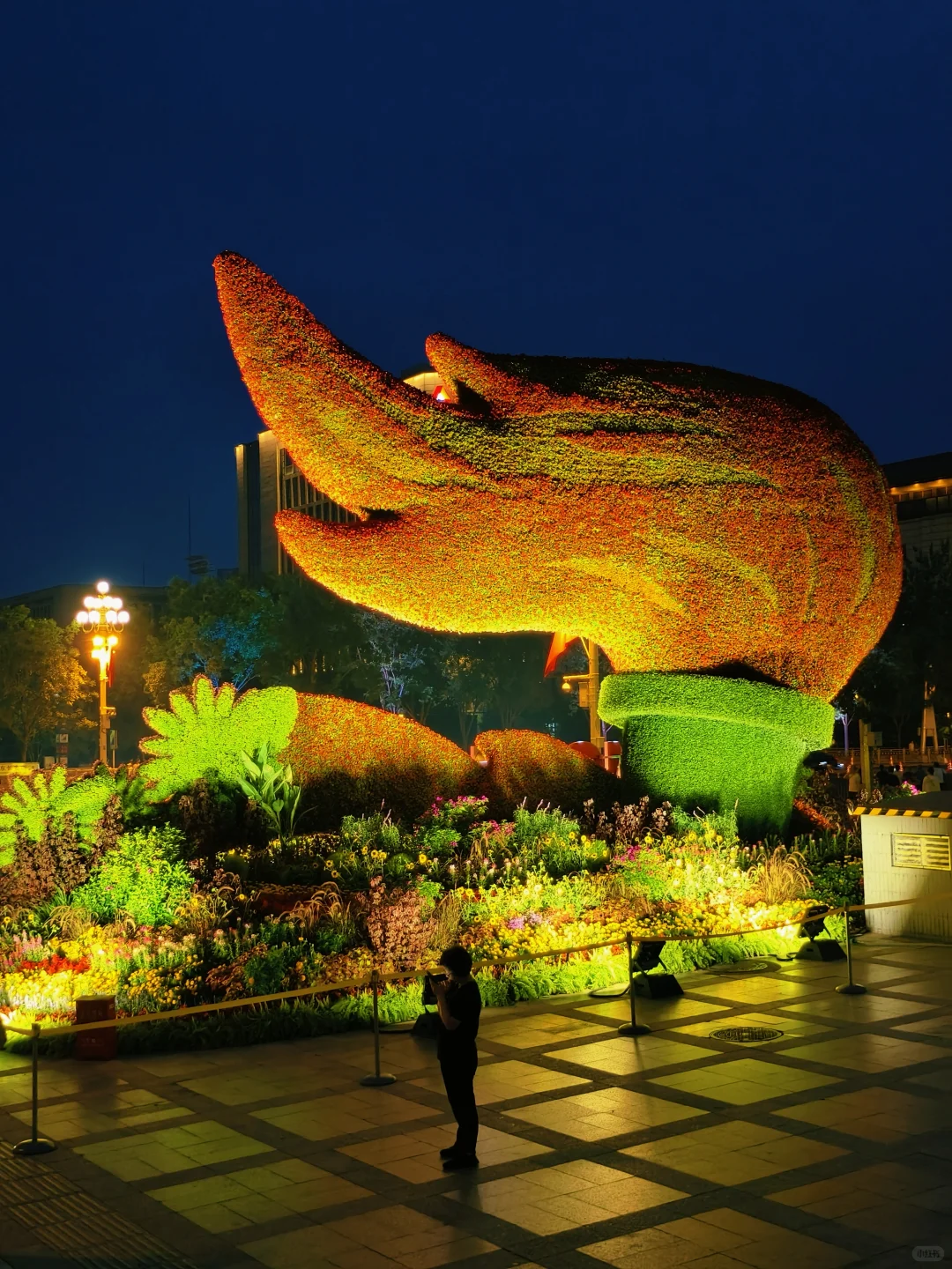 铭记历史 珍爱和平