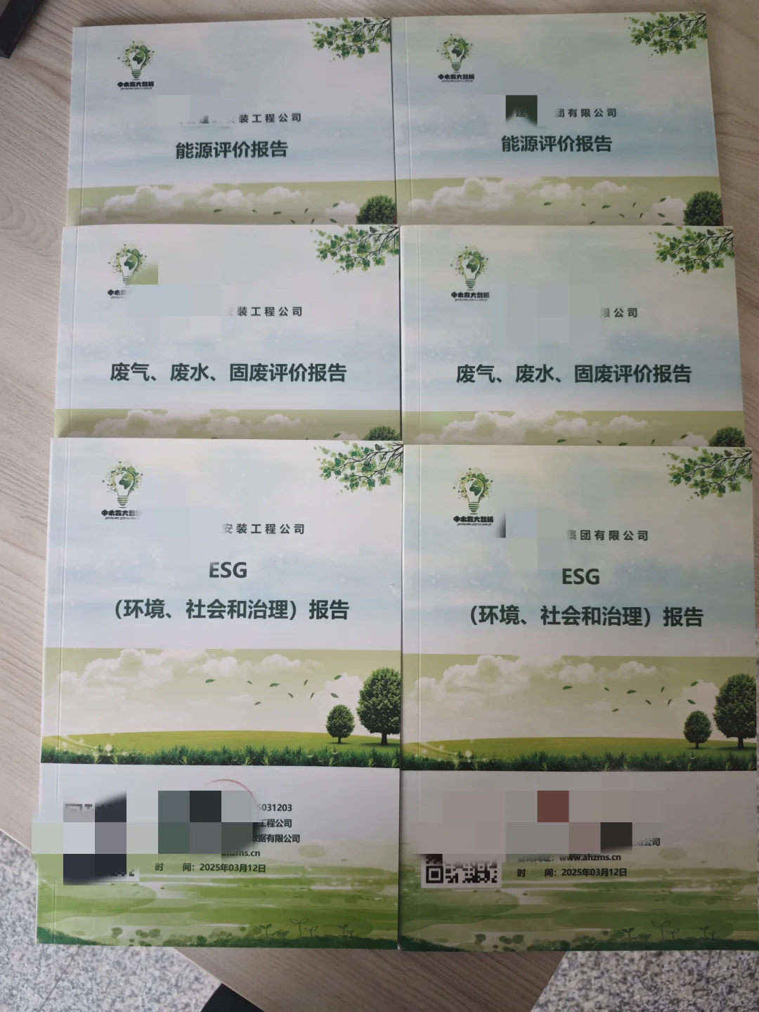 国网电力绿色发展ESG能评绿电绿证报告证书