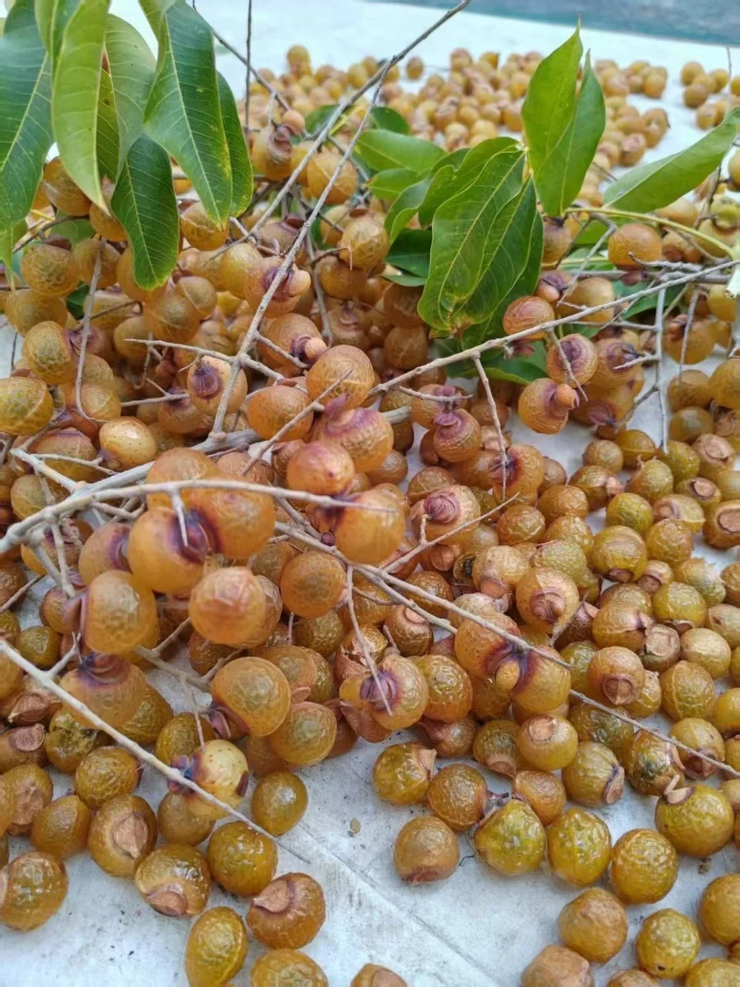 这个水果叫什么有人知道么