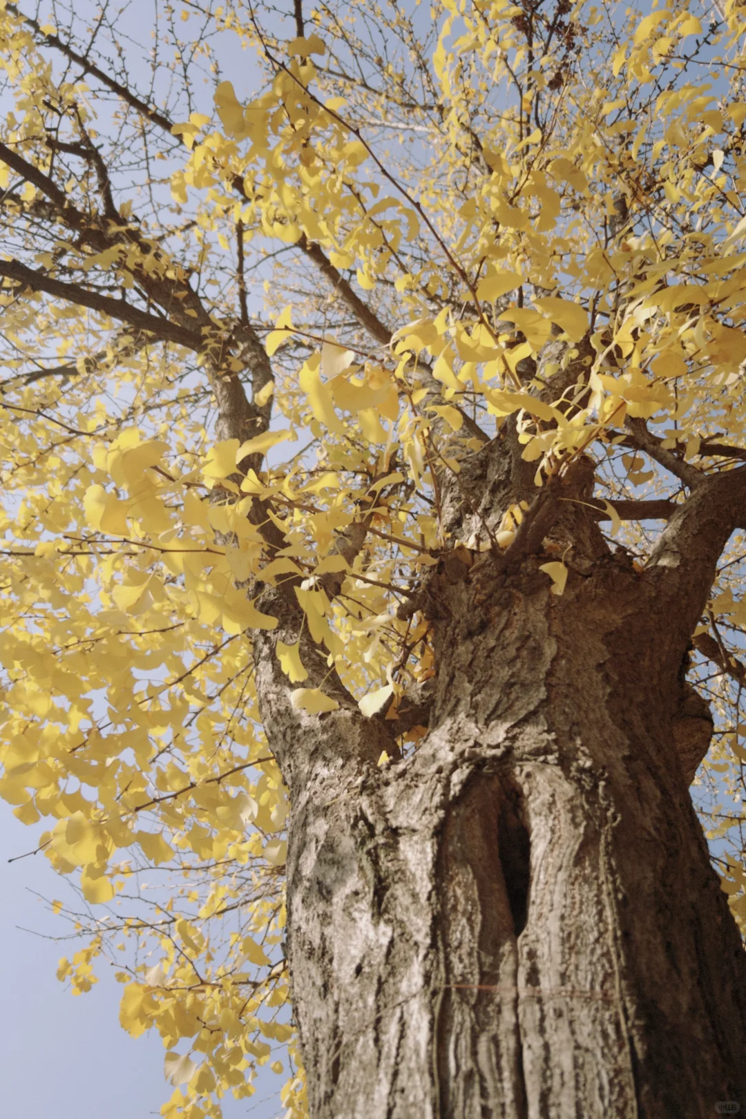 医疗行业打工人的周末