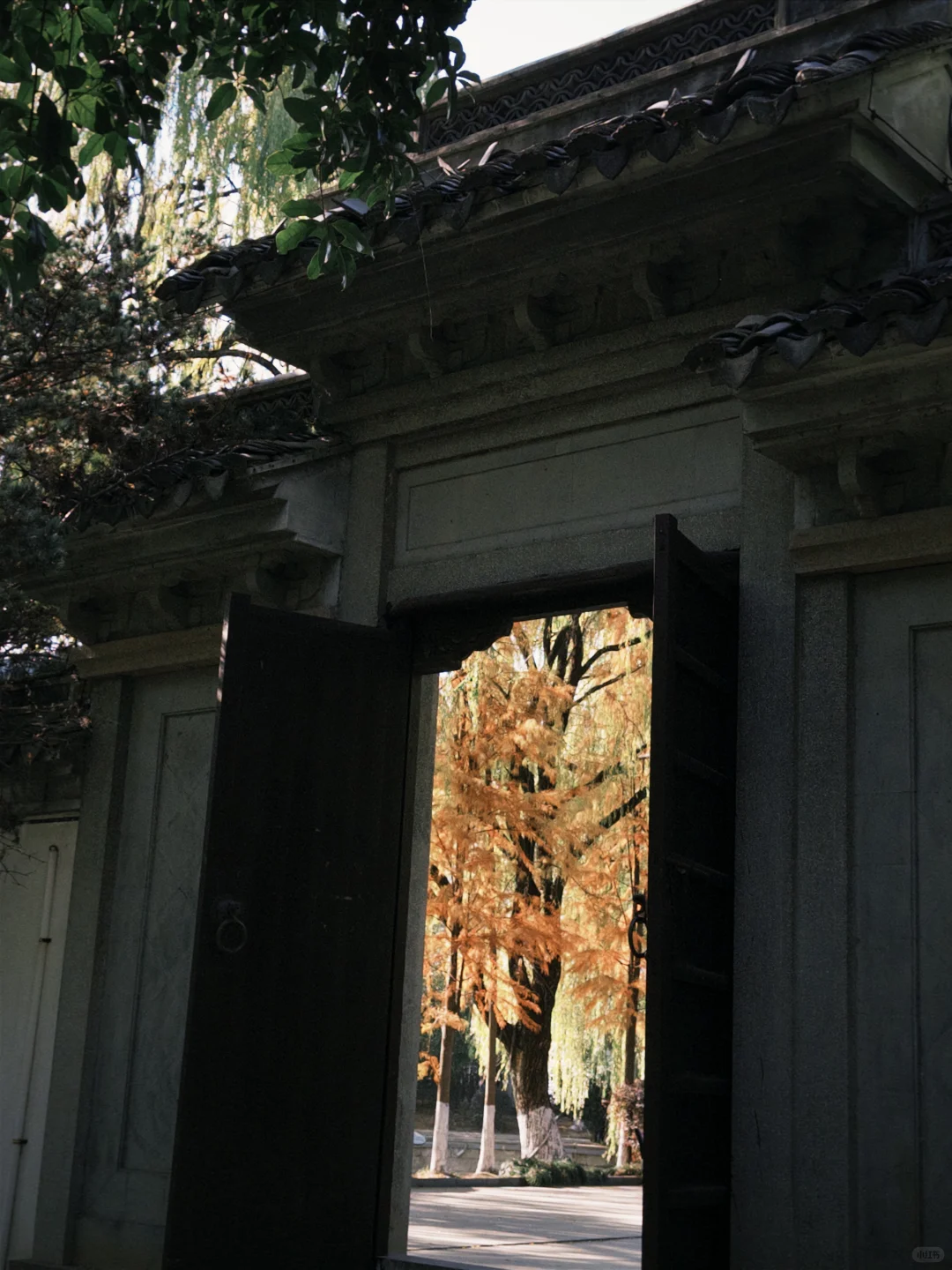 券商打工人上班仪式感｜拉毛