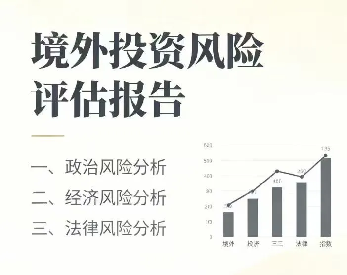 境外投资风险评估报告??