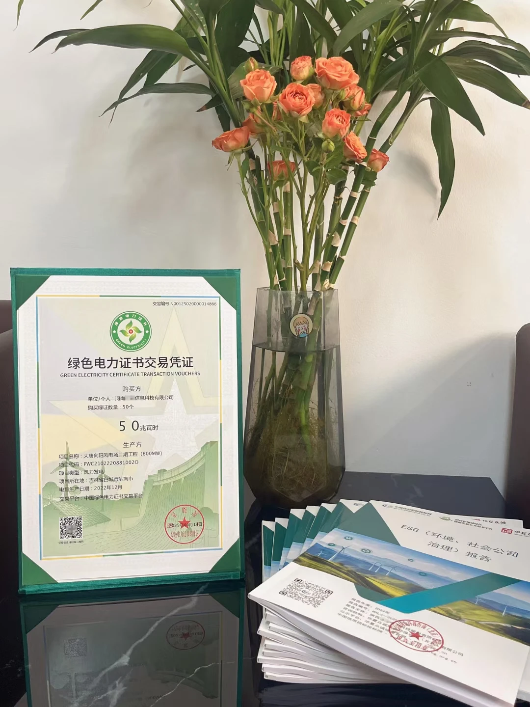 国网电力绿色发展ESG能评绿电绿证报告证书