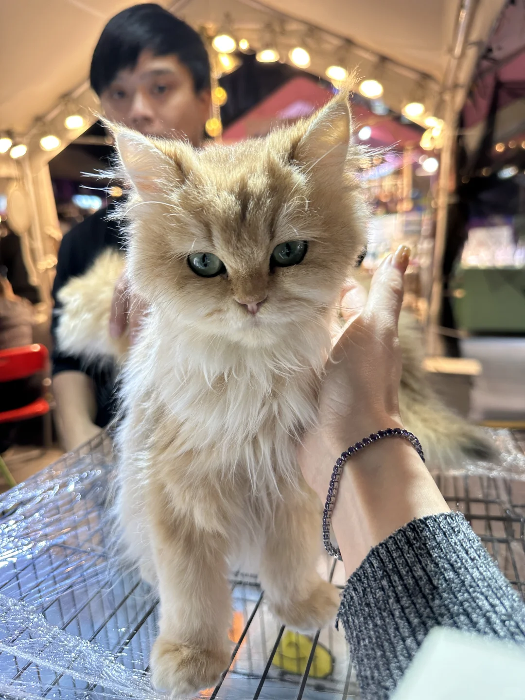 杂毛最后20分钟狂拉八个点？还好我没放弃?