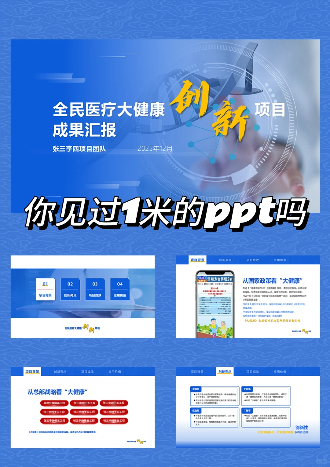 全民医疗大健康项目报告