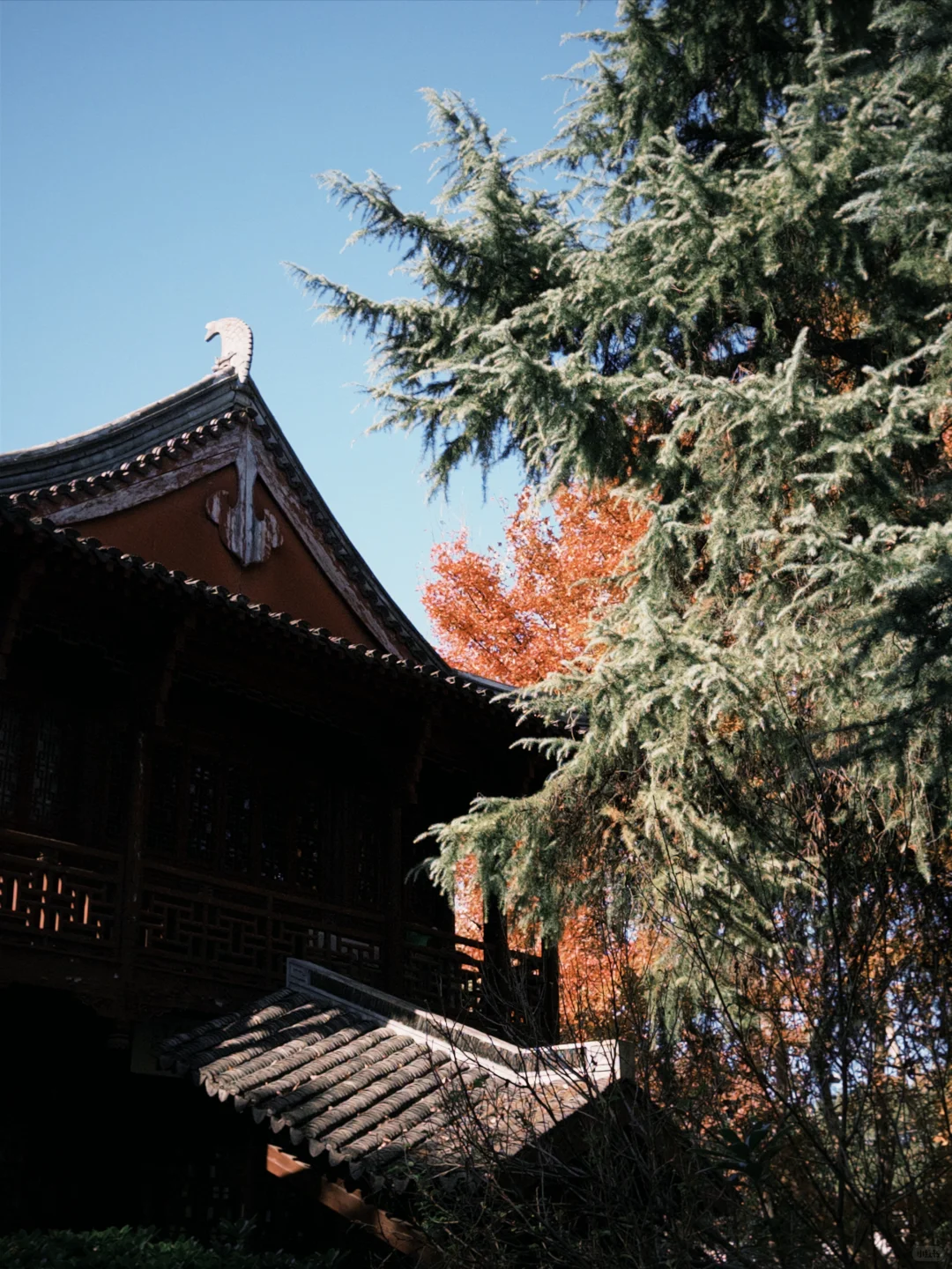 券商打工人上班仪式感｜拉毛