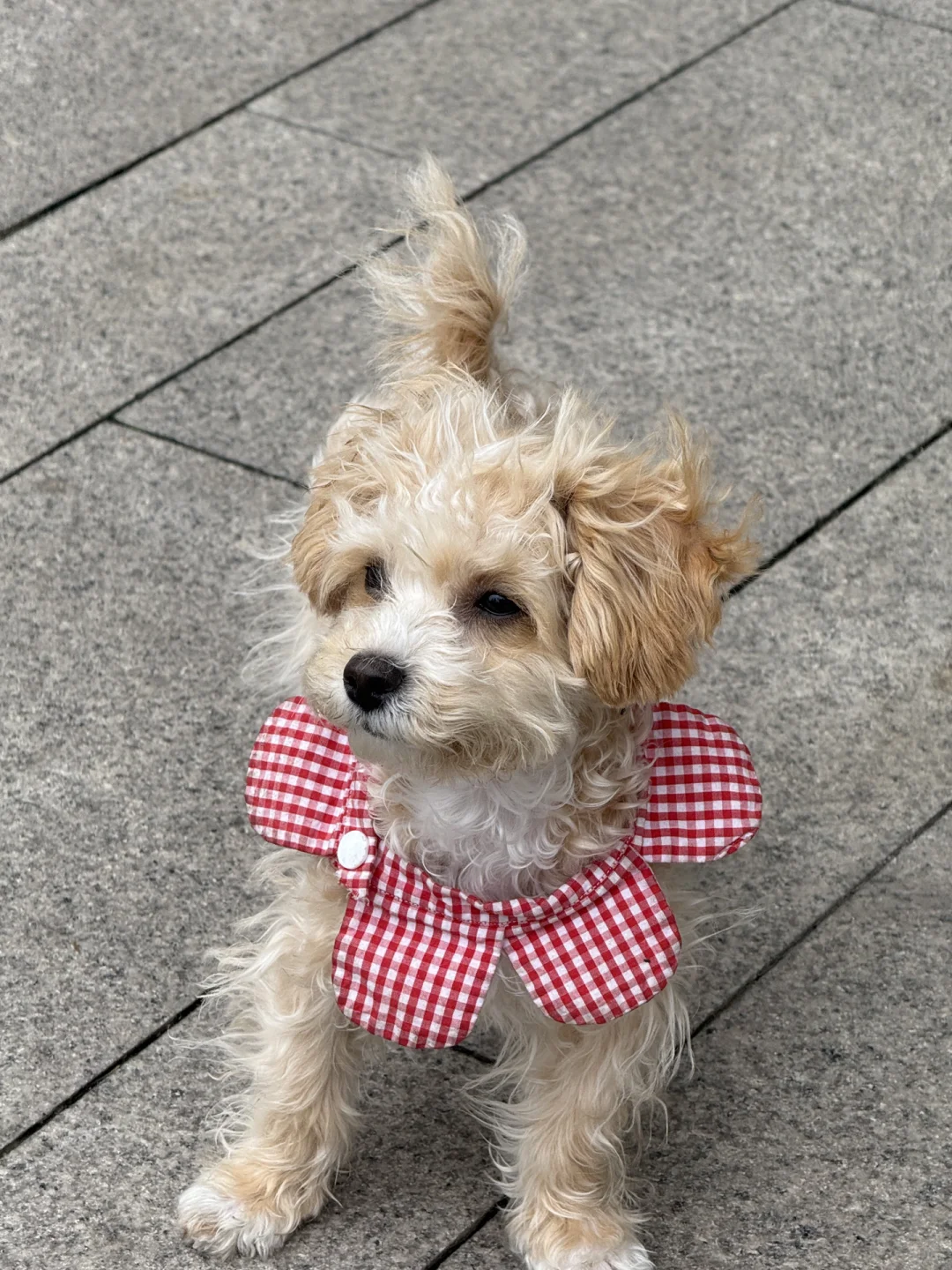 被严重忽视的外企 美妆时尚篇