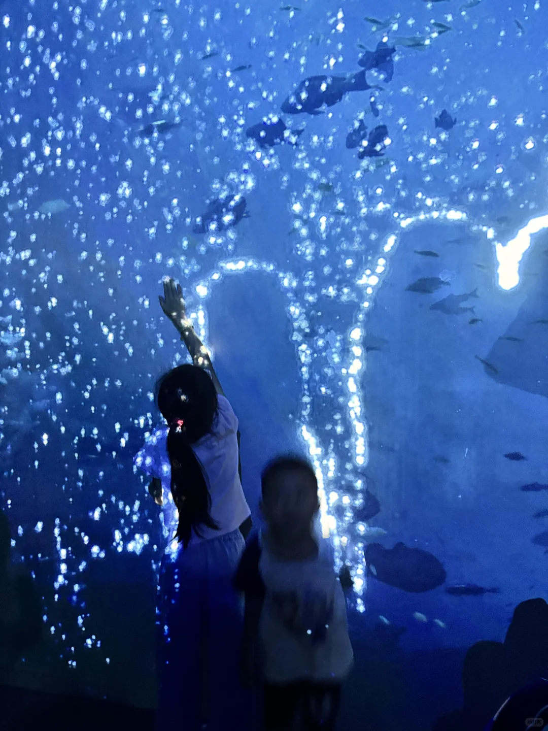 闲鱼卖货,意外发现了中国人的消费心理‼️