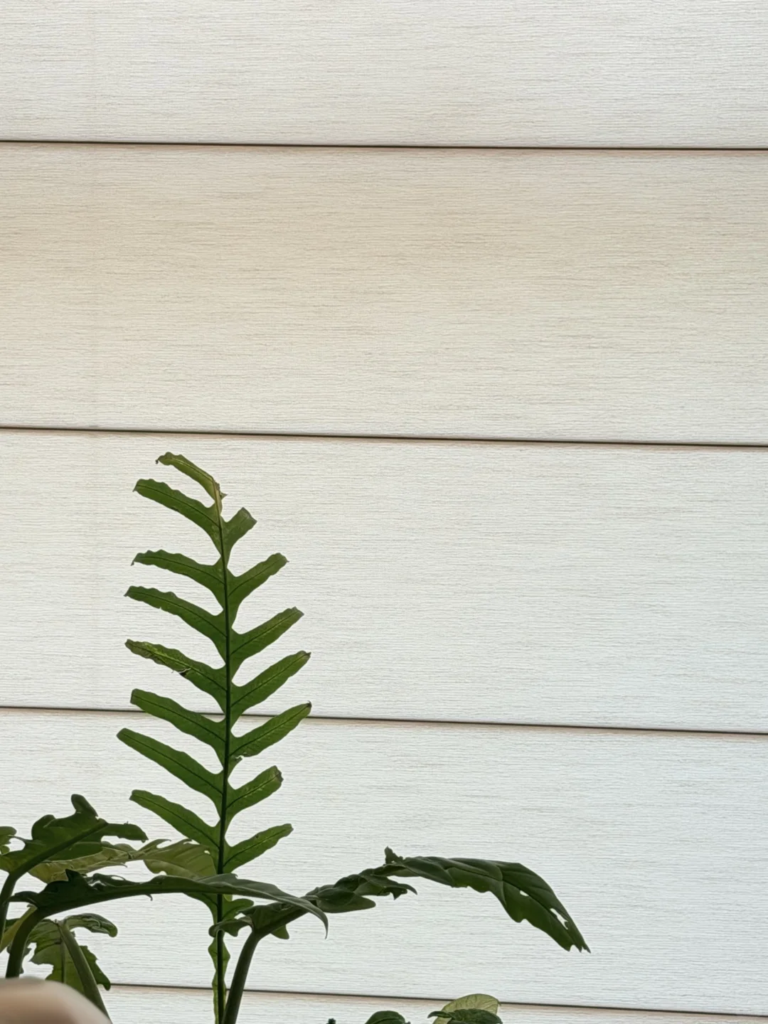 在许昌|护肤来找我